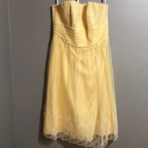 David’s Bridal Semi-Formal Dress